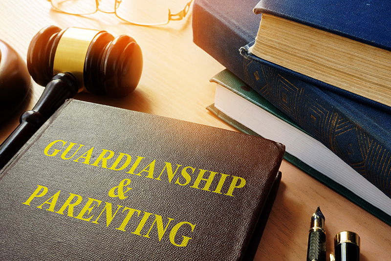 Guardianship legal book